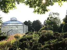 Der riesige garten ist mit einer fläche von über 43 hektar und etwa 22.000 verschiedenen pflanzenarten ist der größte botanische garten deutschlands. Botanischer Volkspark Blankenfelde Pankow