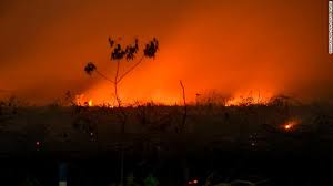 Check spelling or type a new query. Indonesian Forests Are Burning And Malaysia And Singapore Are Choking On The Fumes Cnn