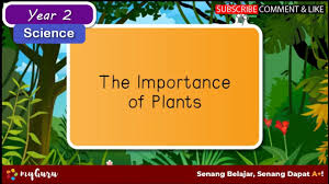 10000+ результатов для 'science year 2 dlp'. Year 2 Science The Importance Of Plants Youtube