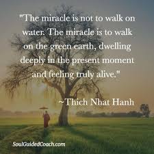 Thich Nhat Hanh Quotes Spirituality Selfawareness Selflove Happiness Consciousness Meditation Quotes Thich Nhat Hanh Quotes Thich Nhat Hanh
