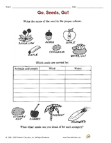 Go Seeds Go Printable 3rd Grade Seed Dispersal Science Worksheets Mini Lessons
