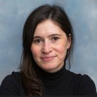 600+ "Verga" profiles