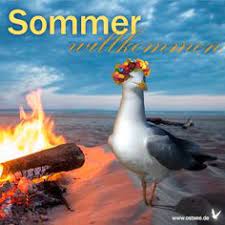 Für diese 3 sternzeichen ändert sich ab der sommersonnenwende am 21. 14 Sommer Ideen In 2021 Sommer Sommer Anfang Lustige Bunnies