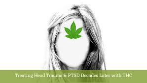 Treating Head Trauma Ptsd With Thc Canuvo