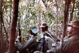 Image result for Grissette Brown Deep 1931 Lincoln