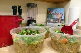 Making homemade dog food for dogs with skin allergies. Homemade Recipe For Diabetic Dogs Dog Food Recipes Diabetic Dog Food Make Dog Food
