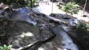 Check spelling or type a new query. Kanching Recreational Forest