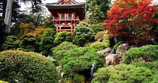 San Francisco Japanese Tea Garden Temple Gate 9 Tea Garden Japanese Tea Zen Garden
