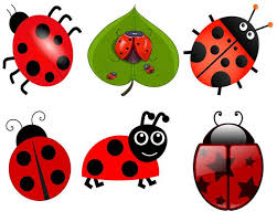 Ladybug Clip Art Insect Clip Art Lady Bugs Clip Art Red Etsy Discover 497 free ladybug png images with transparent backgrounds. ladybug clip art insect clip art lady bugs clip art red ladybugs png 6 bugs clip art instant download clipart