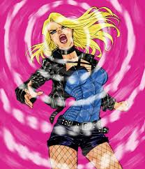 Black Canary, in James Pauley's Women of DC Comic Art Gallery Room