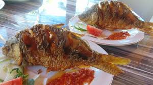 We did not find results for: 47 Gambar Ikan Mas Goreng