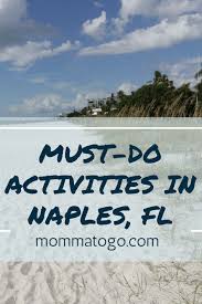 Things To Do In Naples Florida With Kids Momma To Go Travel Florida Activities Florida Travel Naples Florida
