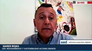 Crecimiento de bosques en tiempo récord: Conoce la restauración ecológica  que realizó ACCIONA Energía