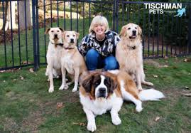 He ct adoption assistance program (aap) offers confidential assessment, brief counseling, and referral services to all families who've the program is housed at: If You Adopt A Dog Or Cat From Stamford Animal Control By Jan 14 You Pay No Fees Darienitedarienite