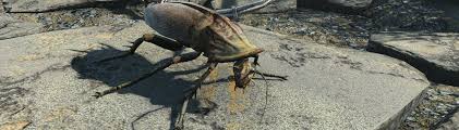 Glowing Radroach (Regular variant available) Companion at Fallout 4 Nexus -  Mods and community