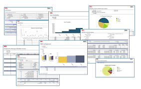 Reports And Business Analytics Maximo Review