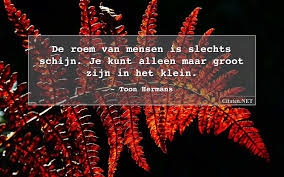 Toon Hermans 32 Citaten Quotes En Wijsheden Citaten Net