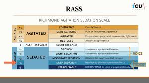 Image result for Behavioral Activity Rating Scale