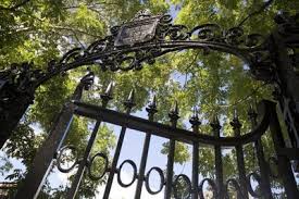 John Stilgoe Portrait