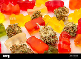 green dolphin cbd gummies cost