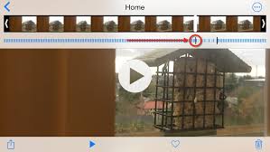 We did not find results for: Bring Iphone Slo Mo Videos Back Up To Speed Tidbits