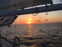 Image result for Rouge Marina 1986 UMM