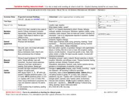 Fillable Online Palmbeachstate Narrative Charting Resource