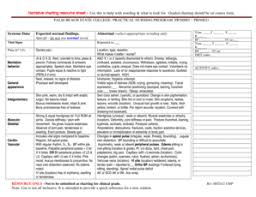 fillable online palmbeachstate narrative charting resource