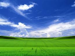 Search free windows xp wallpapers on zedge and personalize your phone to suit you. Windows Xp Wallpapers Hd Wallpaper Cave