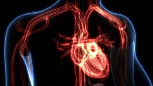 心肌炎（拉丁語： myocarditis ），也称为炎症性心肌病（ inflammatory cardiomyopathy ），是心肌的炎症。 症状可表现为呼吸困难、 胸口疼痛 （ 英语 ： chest pain ） 、运动能力降低、心律不整等。 æ–°å† ç—…æ¯'å¦æœ‰è‡´å'½å¨è„… é›£ä»¥é é˜²çš„å¿ƒè‚Œç‚Žè‡´æ­»çŽ‡é«˜ å¥åº· ä¸­æ™‚æ–°èžç¶²