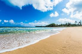 Image result for beach