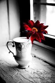 Beautiful Black And White Photography With Color Splash All This And Heaven Too Photo Color Splash Red Color Splash Photo Color Splash Photography