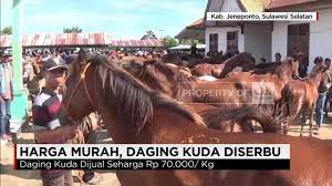 Lokasi sate kuda kebumen : Daging Kuda Diserbu Jadi Pengganti Daging Sapi Yang Mahal Youtube