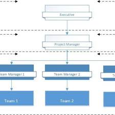 Prince2 Project Management Team Structure Download