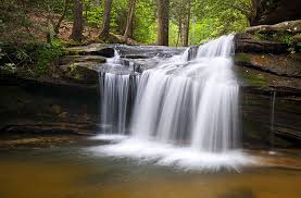 Waterfall At Table Rock State Park In The Upstate South Carolina Region Www Dogwoodalliance Org Table Rock State Park Waterfall State Parks