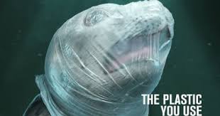 اضرار البلاستيك اليوم السابع