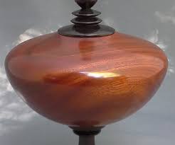 Image result for Schinopsis