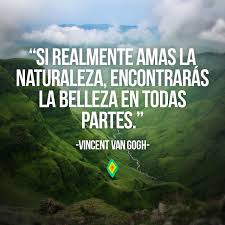 So Realmente Amas La Naturaleza Encontraras La Belleza En Todas Partes Frases Ambientales Frases Naturaleza Medio Ambiente Frases