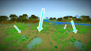 Count 3 blocks in the south direction (+ z axis) dig down to diamond level and find diamonds. Diamond Swamp Trick Minecraft Java 1 16 Youtube