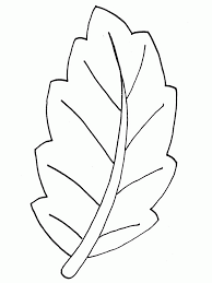 We did not find results for: Palm Branch Coloring Page Coloring Home