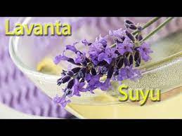 Web temiz üzerinden hızlıca sipariş verebilirsiniz. Evde Lavanta Suyu Nasil Yapilir Faydalari Youtube