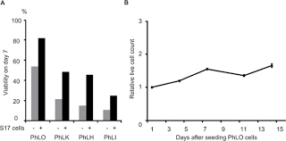 Oncotarget The Photosensitizer Verteporfin Has Light