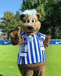Das maskottchen von hertha bsc berlin wollte aber einfach nicht auftauchen. Herthinho Der Countdown Lauft Noch 1 Tag Bis Zum Bundeslifa Auftakt Svwbsc Bundesligaauftakt Esgehtwiederlos Herthinho Fussball Berlin Maskottchen Hahohe Herthabsc Facebook