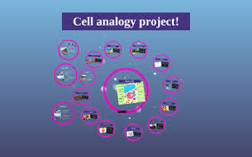 Animal cell analogy to a house. Cell Analogy Project Hospital Shefalitayal