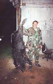 Maybe you would like to learn more about one of these? Hog Hunting Near Houston Texas Guided Hunts Karankawa Plains Outfitting Co