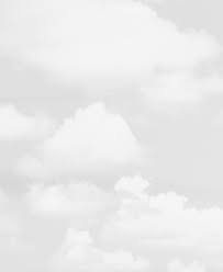 Image result for tbn:iAL9P1fP6VbKpM::loschicosdeclase.nireblog.com/blogs/loschicosdeclase/files/ecala.jpg