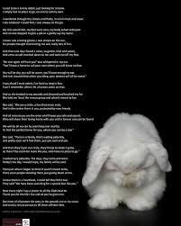 This Adorable Poem Applies To All Rescue Animals Thank Goodness For The People Who Devote Their Lives To Rescue The Rottweiler Puppies Puppy Adoption Bunny