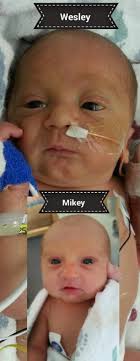 Wesley "Little Bear" Chew Update Page