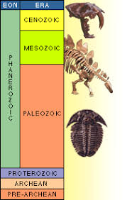 Lines Of Evidence The Science Of Evolution