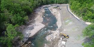 Patapsco River Restoration Bloede Dam Removal